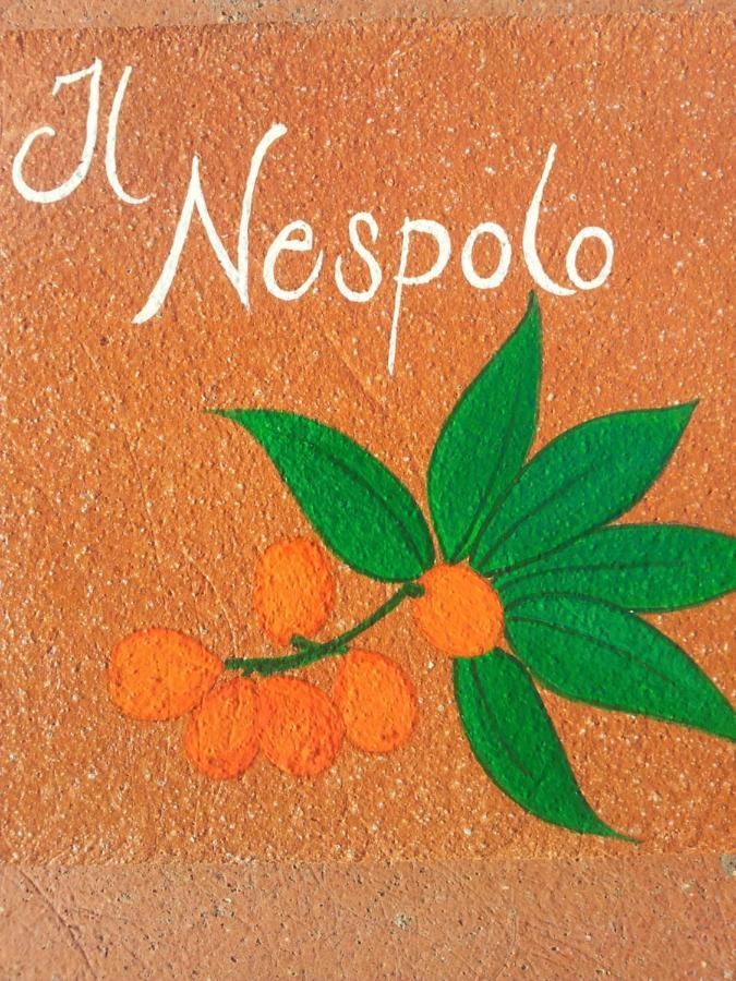Appartamento Il Nespolo Помонте Экстерьер фото